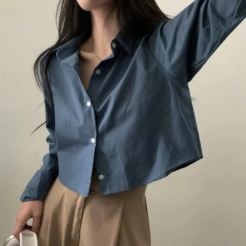 Short Shirt Long Sleeve Underwear Blouse null